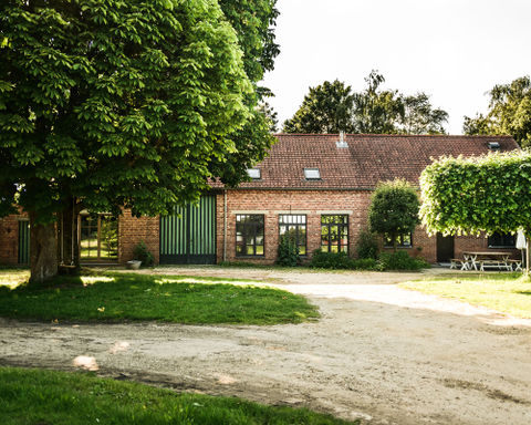 Villa Vigor - Fotos