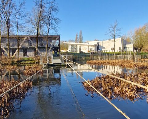 Villa Vigor - Réunions